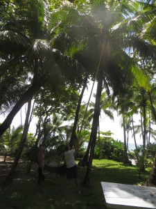 Knocking down a coconut with a bamboo pole.